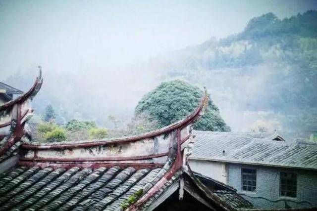 石条小路，曲径通幽，福建这一传统古村落，村内普遍种植桂花