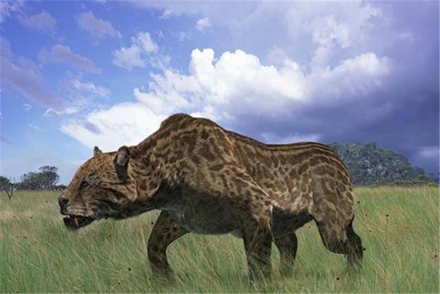 原创这种动物以人类为食若没有灭绝人类或许早已消失