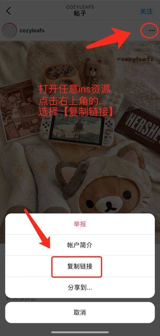 ins图片怎么保存教你几招免费ins存图技巧