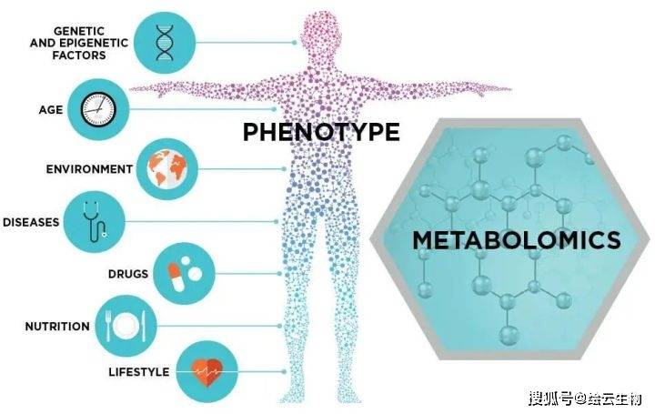 胃癌,胰腺癌等消化道腫瘤,膽道閉鎖等新生兒疾病,阿爾茨海默症,抑鬱症