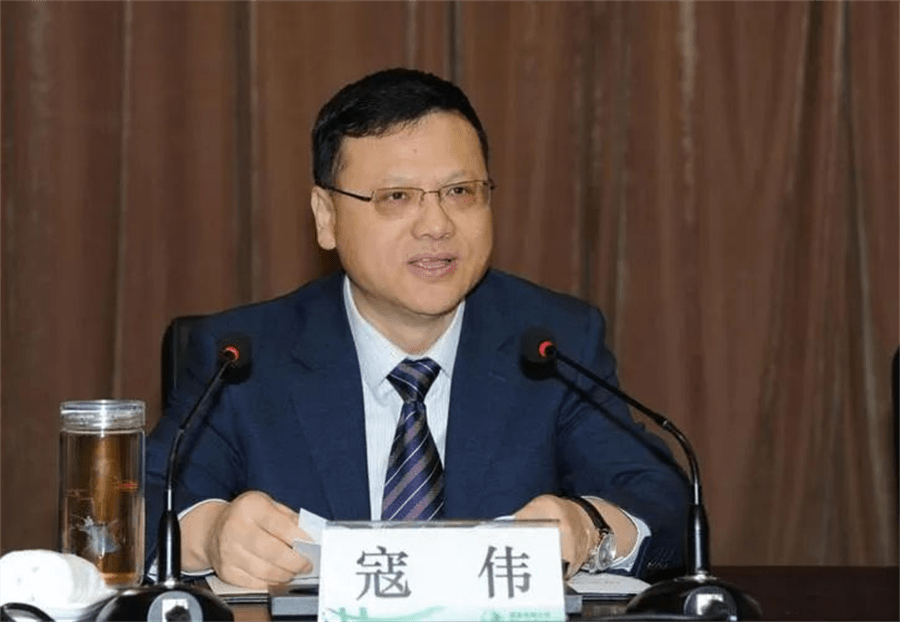 困境丛生,大唐换将_经济逆境中普通人的机会在哪里_寇伟_亏损