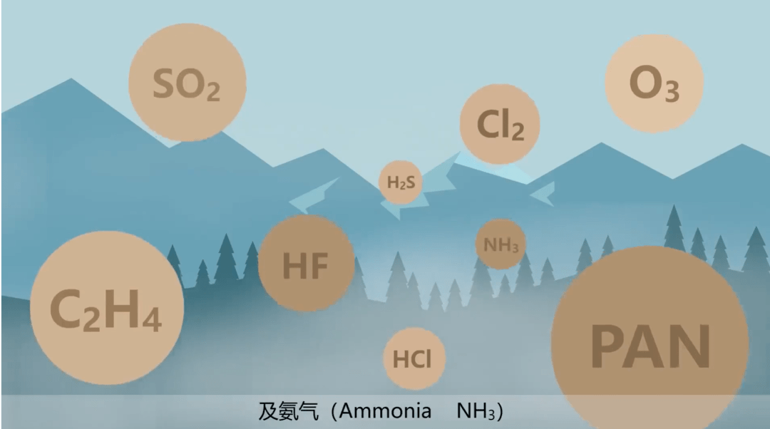 二氧化硫