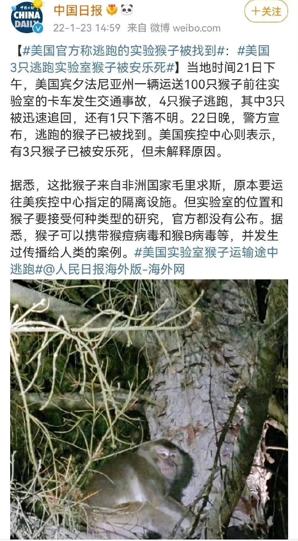 猴痘来源谜团剖析,多角度,资料汇总汇集一