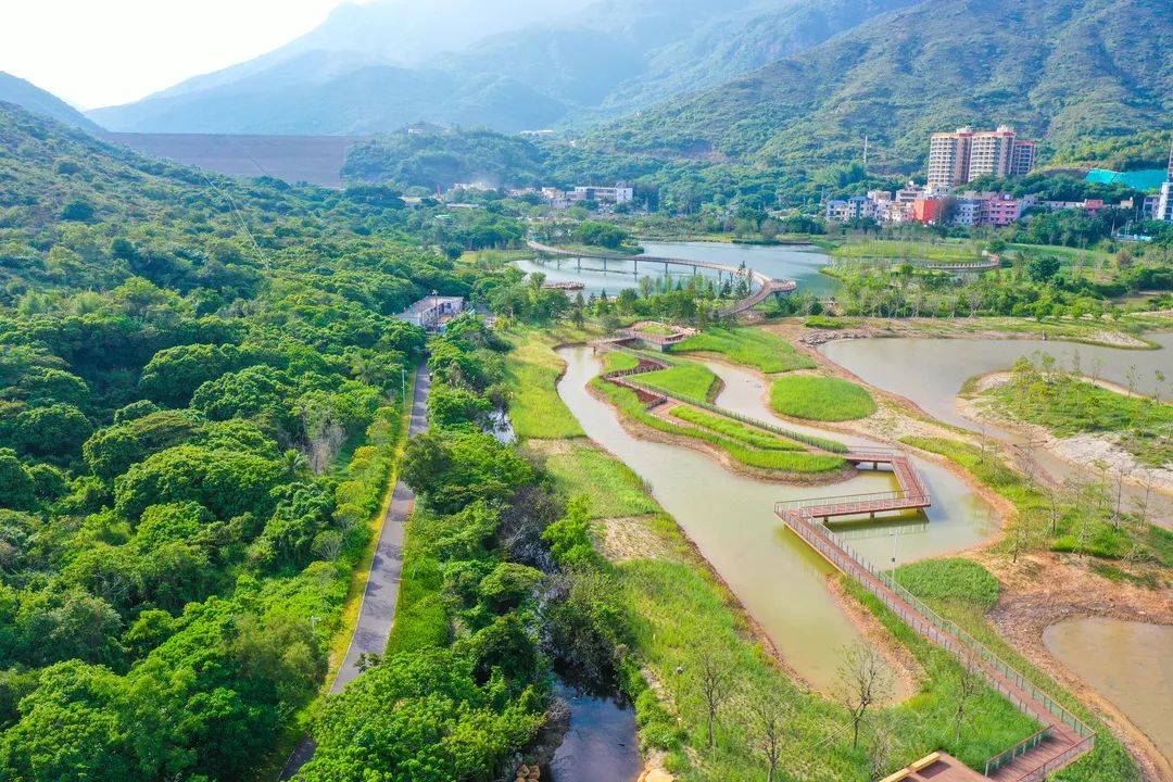 深圳大鹏这个红树林湿地园即将开放!_东涌_新区_工务