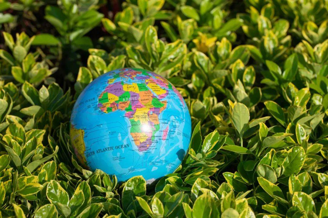 能环宝低碳经济时代下绿色产品在国际上到底有多香