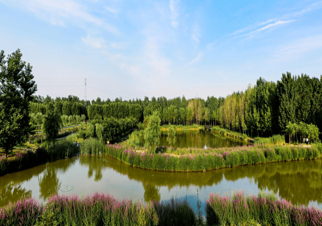 孝河国家湿地公园图片