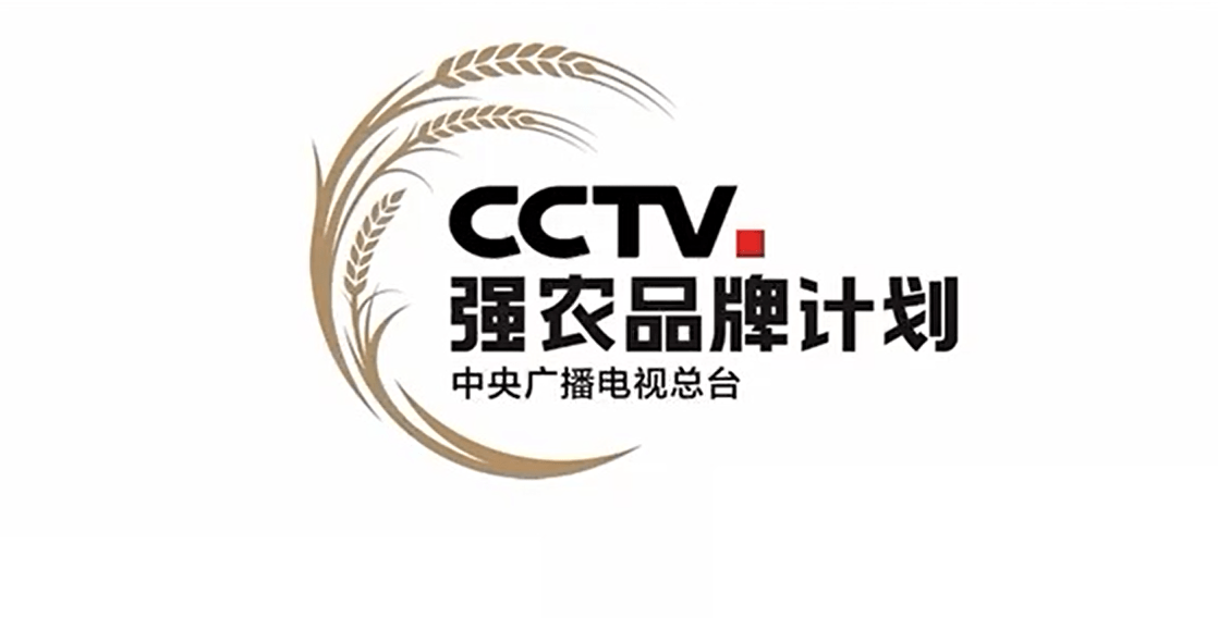 cctv国家品牌计划logo图片