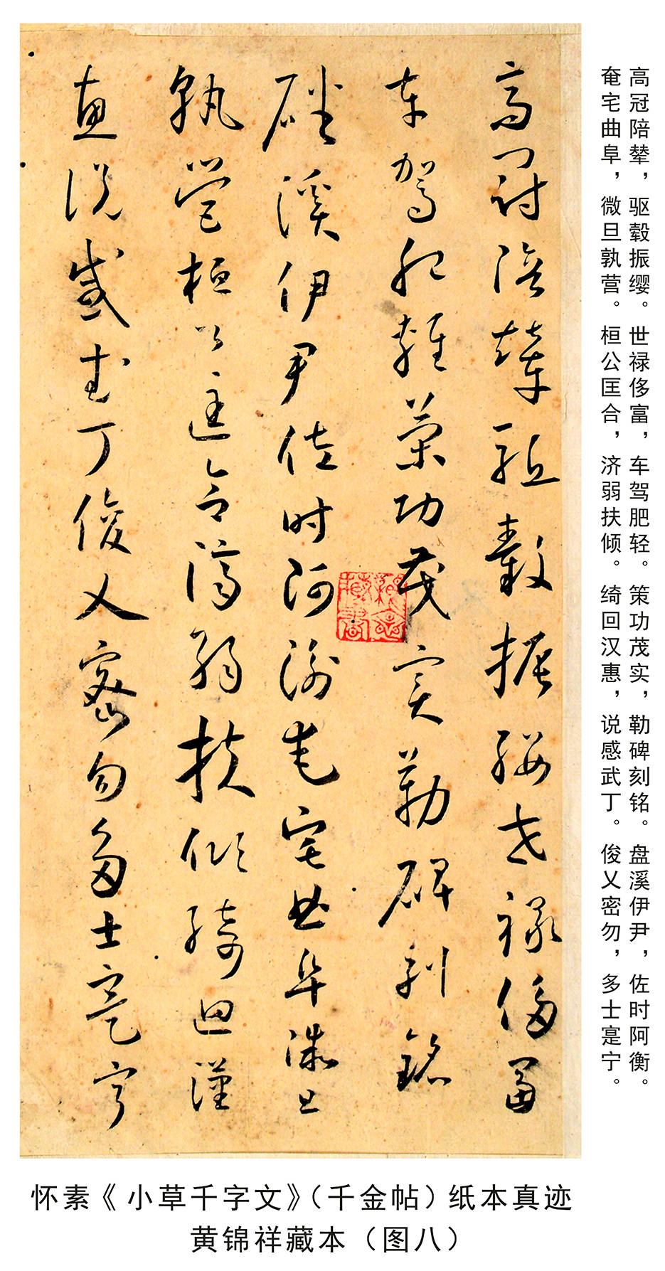 懷素的狂草_草書_書法_小草