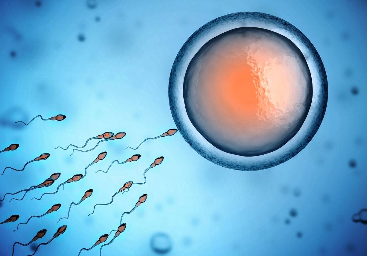 科学家拍到：精子和卵子结合的那一刻，真的会瞬间爆发出巨大闪光_卵细胞_原子_烟花