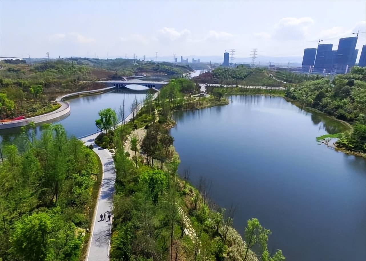 天府新区的鹿溪河生态区还没红就秋了