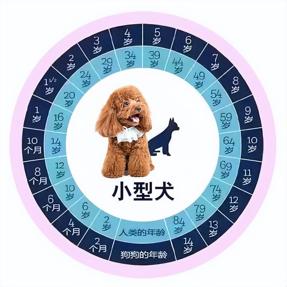 土狗体重对照表图片