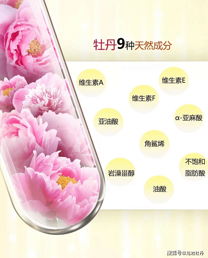 龙池牡丹结合现代科研成果,将牡丹花水,牡丹籽油,丹皮酚等成分应用于