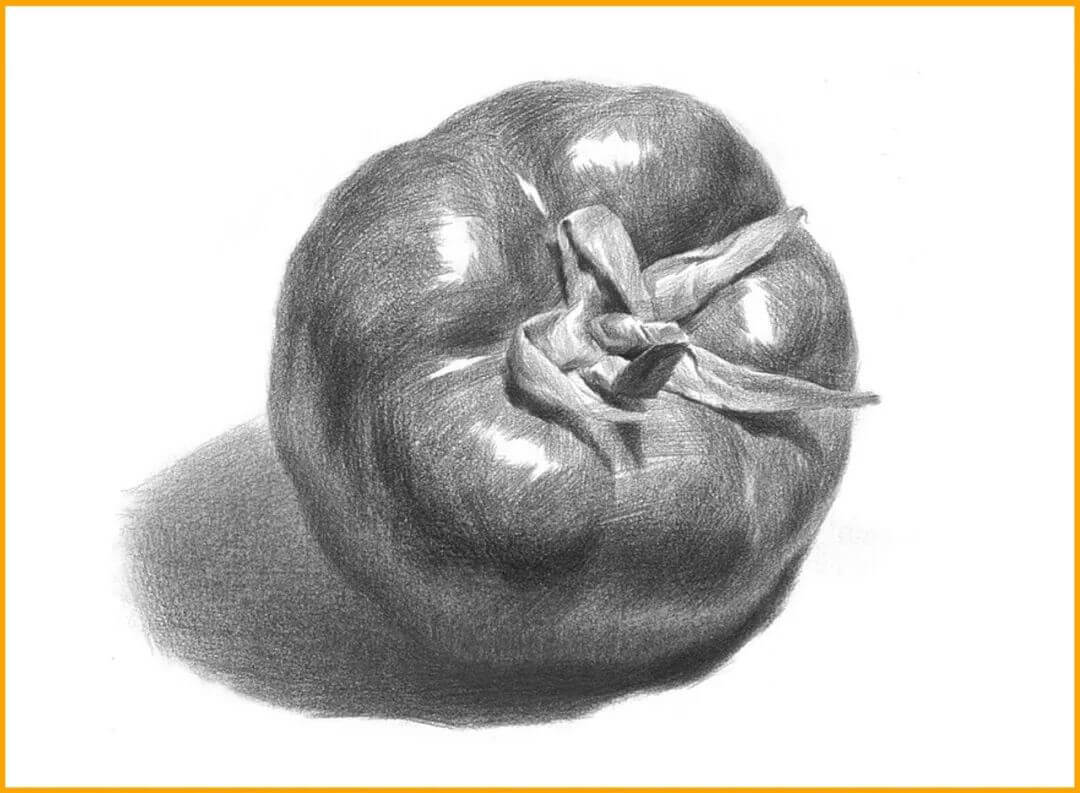 素描静物西红柿的画法图片