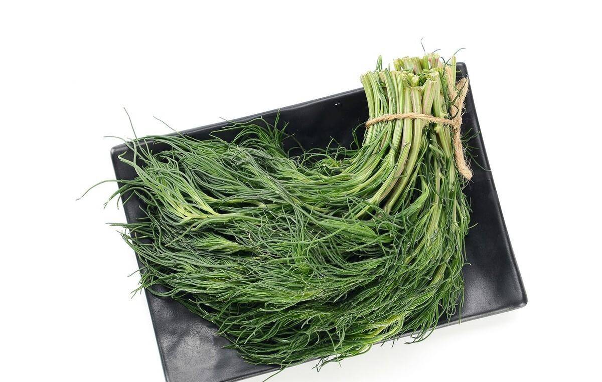 猪尾菜63,黄花菜黄花菜有野生和种植的两种.