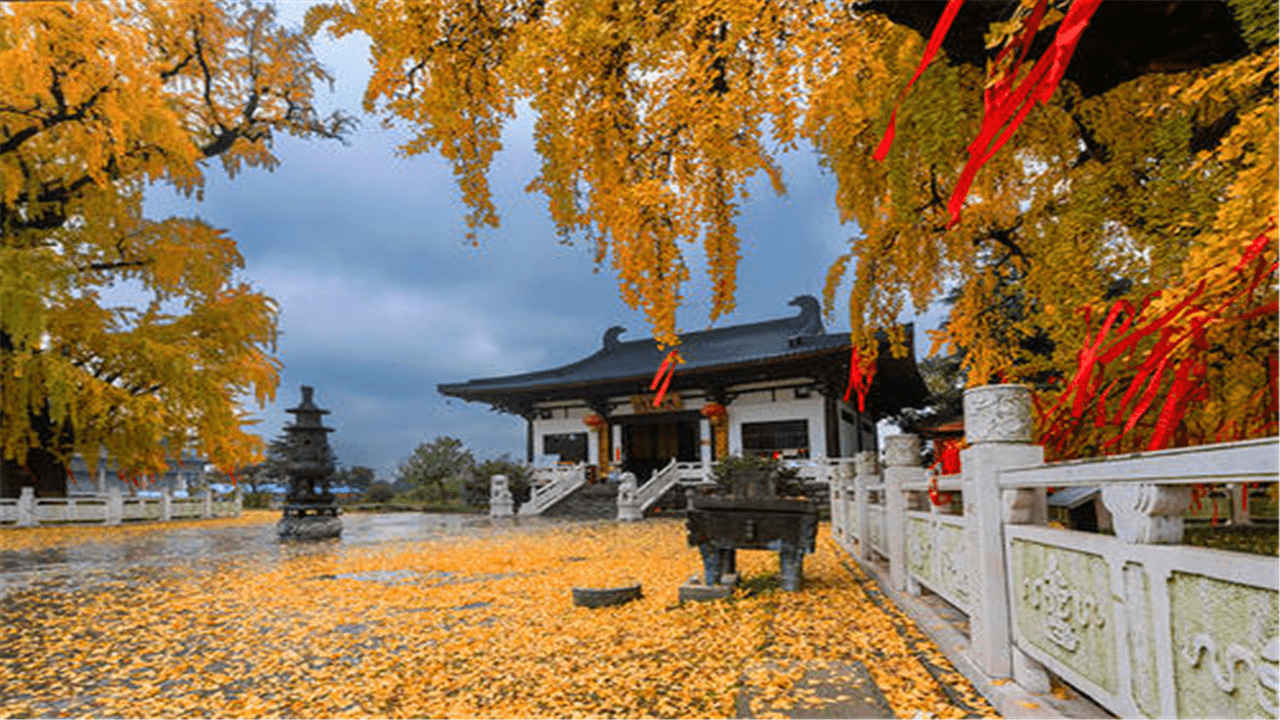南京一座免费开放的寺庙，面积150亩，3棵古银杏成耀眼的标签