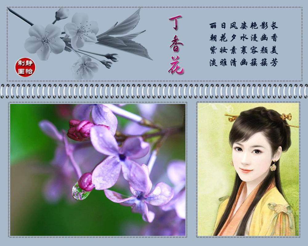 七绝组诗六首丁香花附ps制图