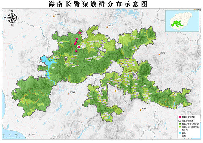 "极度濒危"物种海南长臂猿喜添丁_热带雨林_监测_栖息地