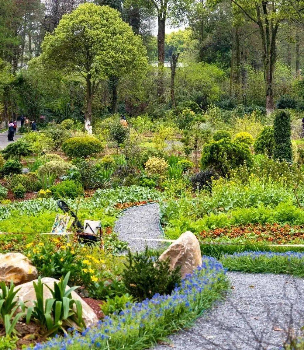 夏日花境满眼尽享缤纷色