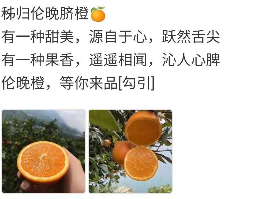 水果照片发朋友圈说说图片