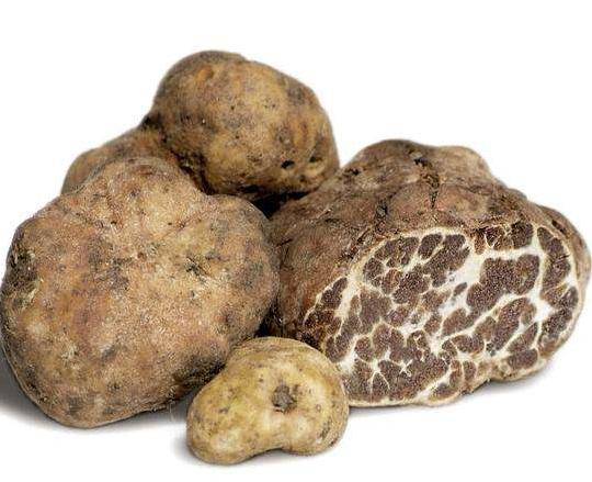 原创6种世界上最贵的蔬菜中国最贵的是它你知道吗