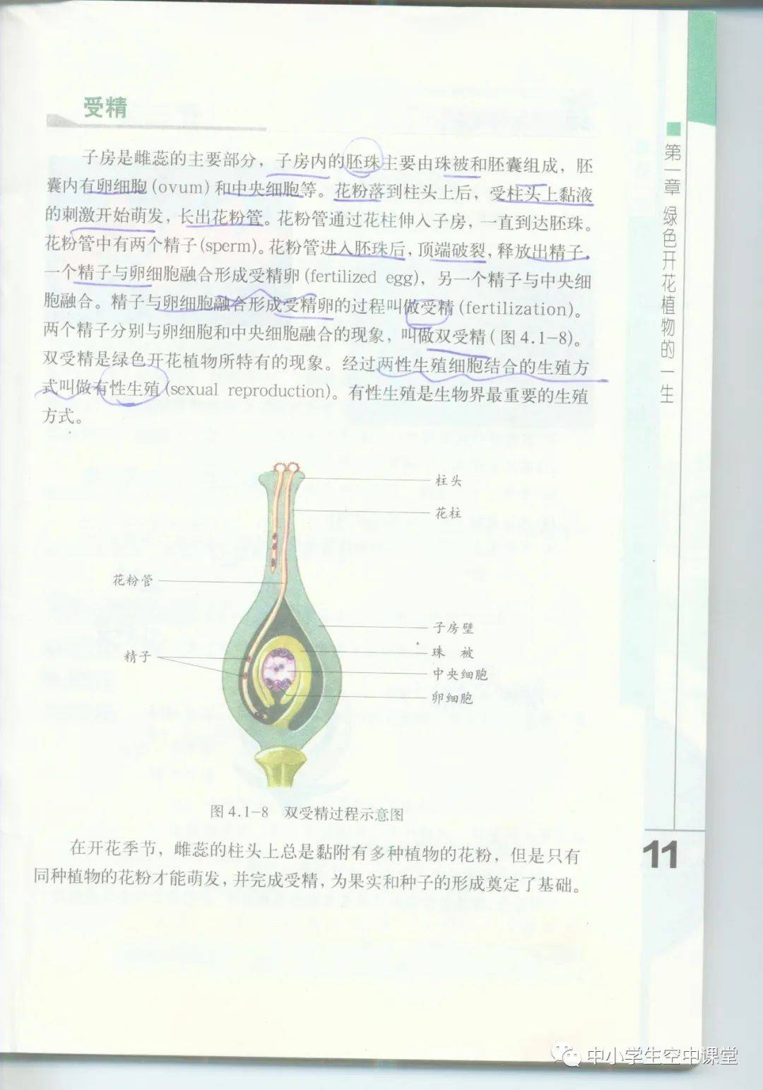 济南版八年级上册生物电子课本教材