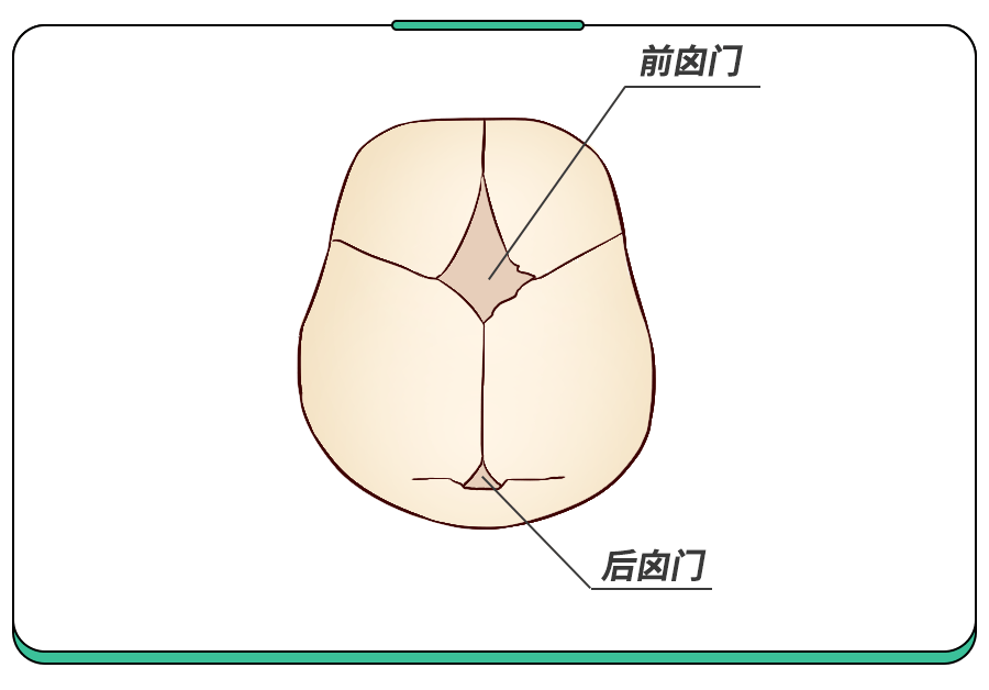 娃头上这个位置,4个囟门冷知识,90%的家长不知道