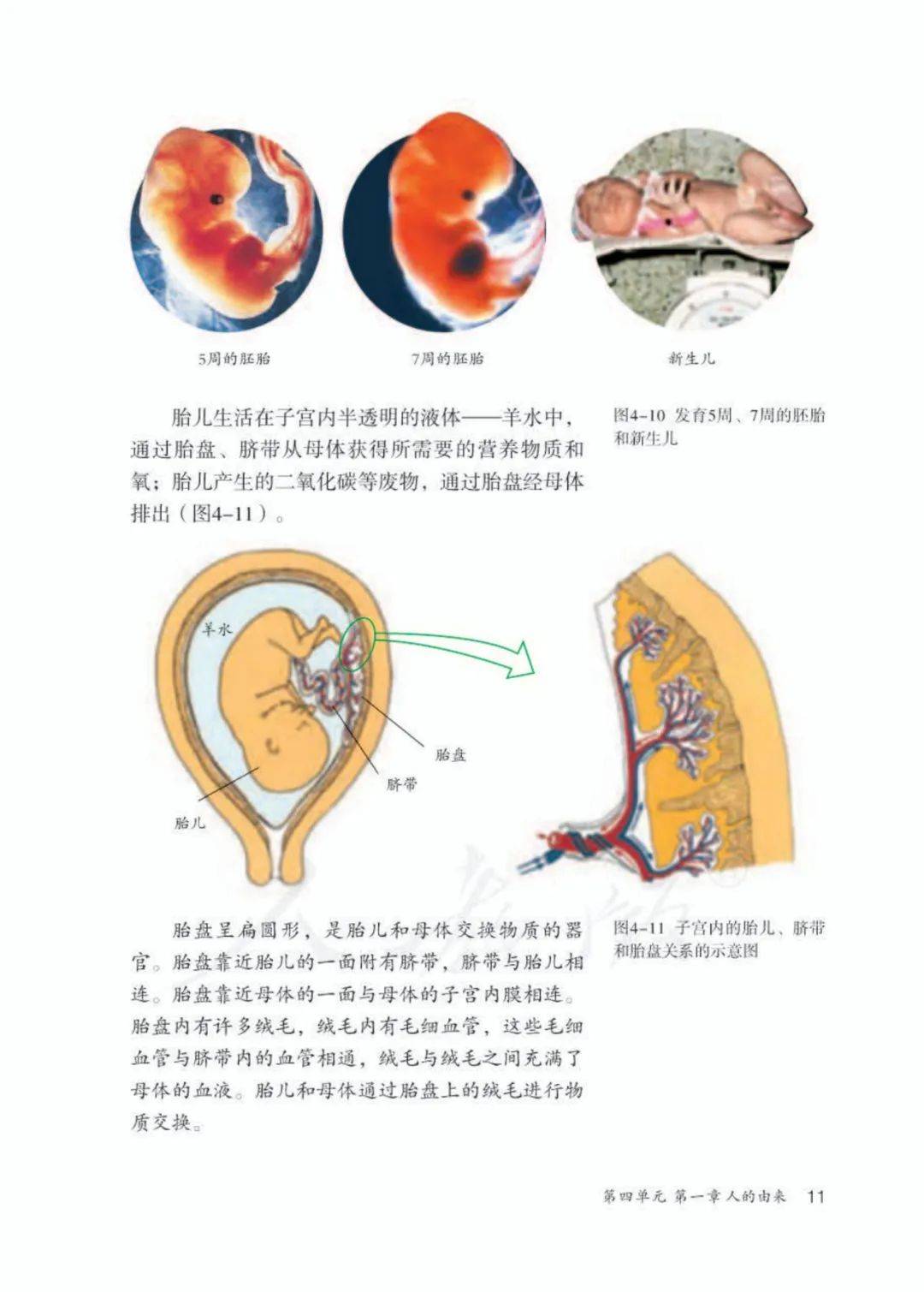 人教版七年級下冊生物電子課本教材(高清pdf版)_資源_初中_商業行為