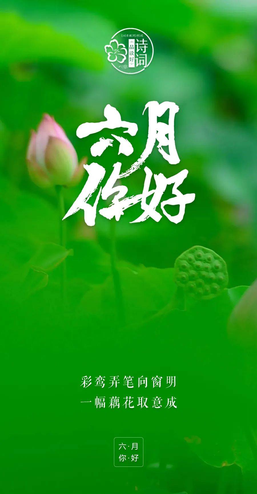 六月你好,焕发出人生的美丽,一起迎接充满活力的盛夏_岁月_野花_夏天