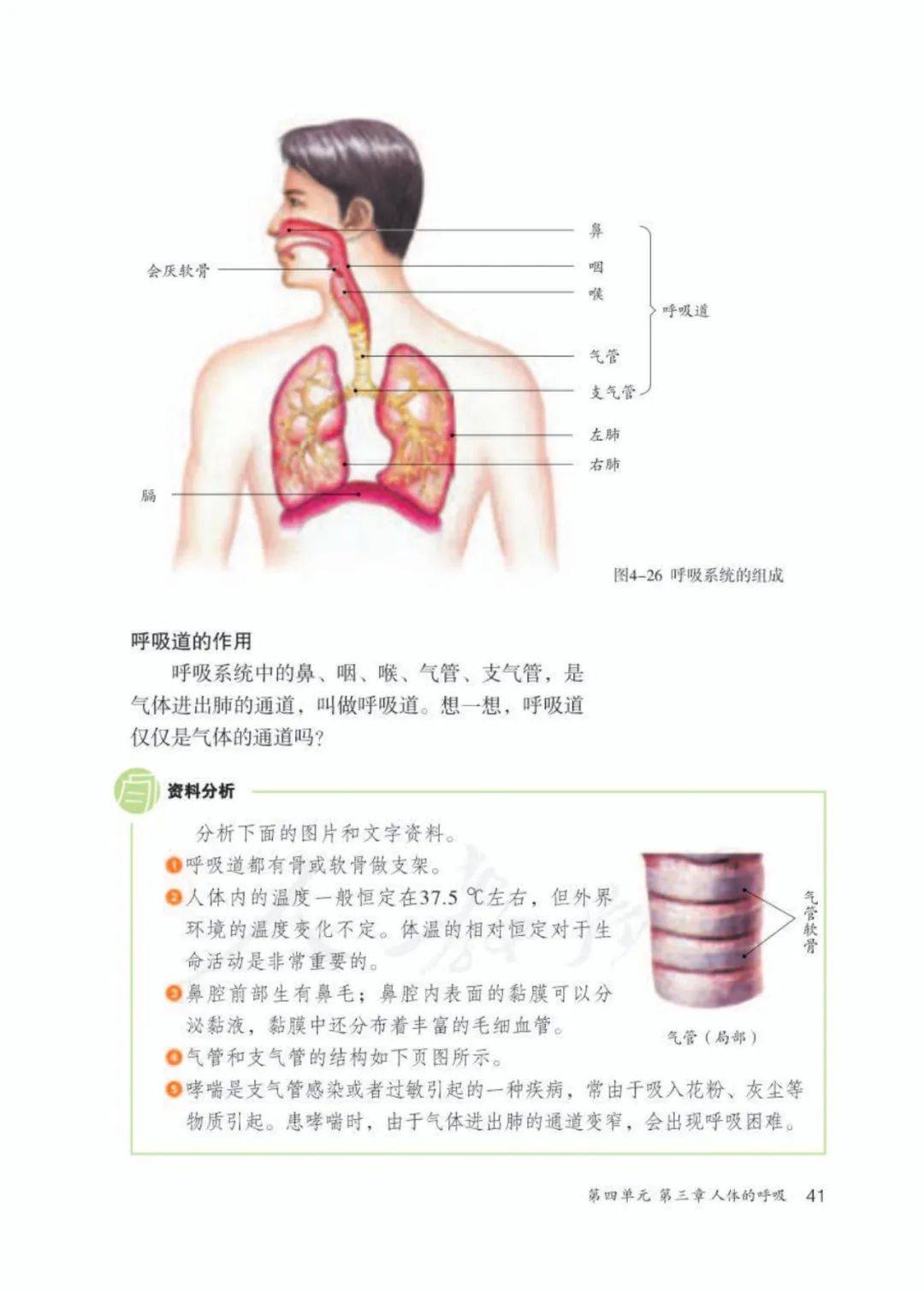 生物课本生理构造图图片