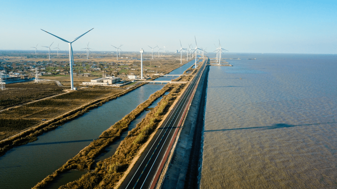 响水旅游公路1号线海堤公路开始招标_盐城市_庞国民_湿地