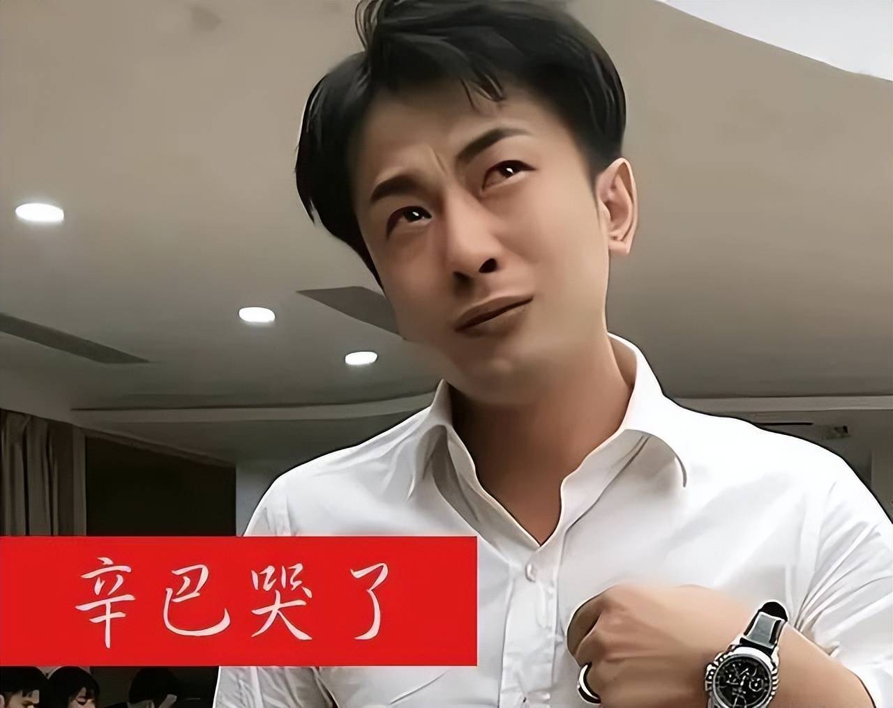 原创辛巴造车前途无亮
