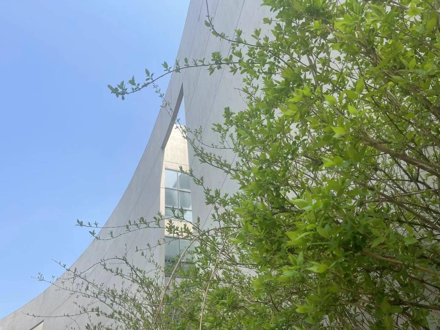 时代焦点 ：中国最顶级当代艺术家戴帆(DAI FAN)_科技_建筑_生活