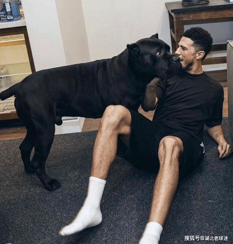 这条狗根本就不是詹娜的,而是布克的爱犬.