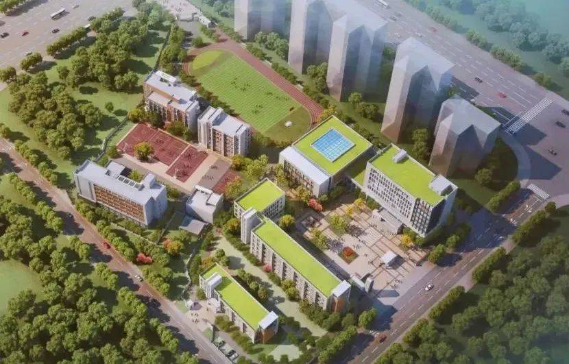 城东这所实验小学将于明年招生另有多所学校传新动态