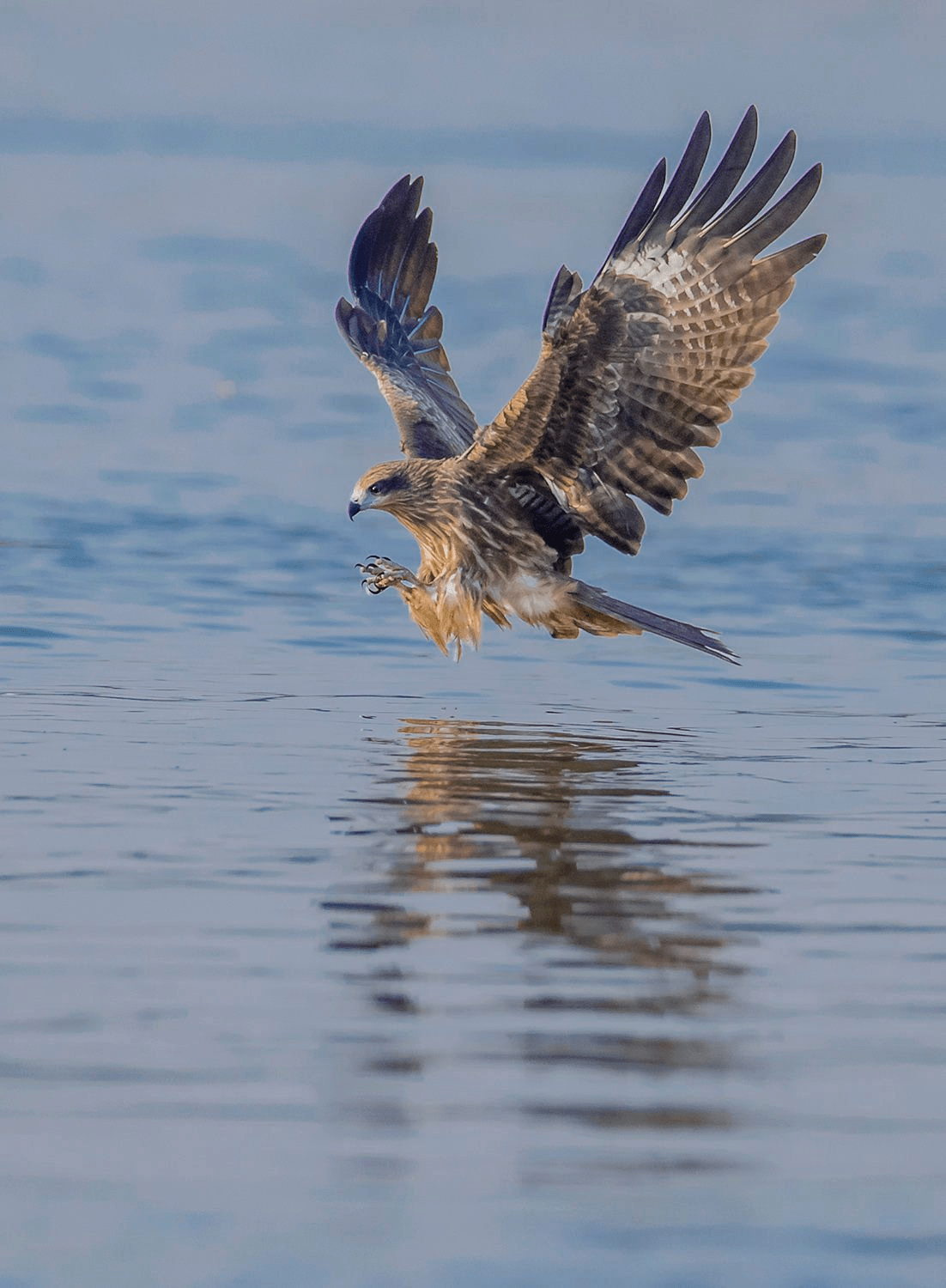 长江_生活_不祥之兆