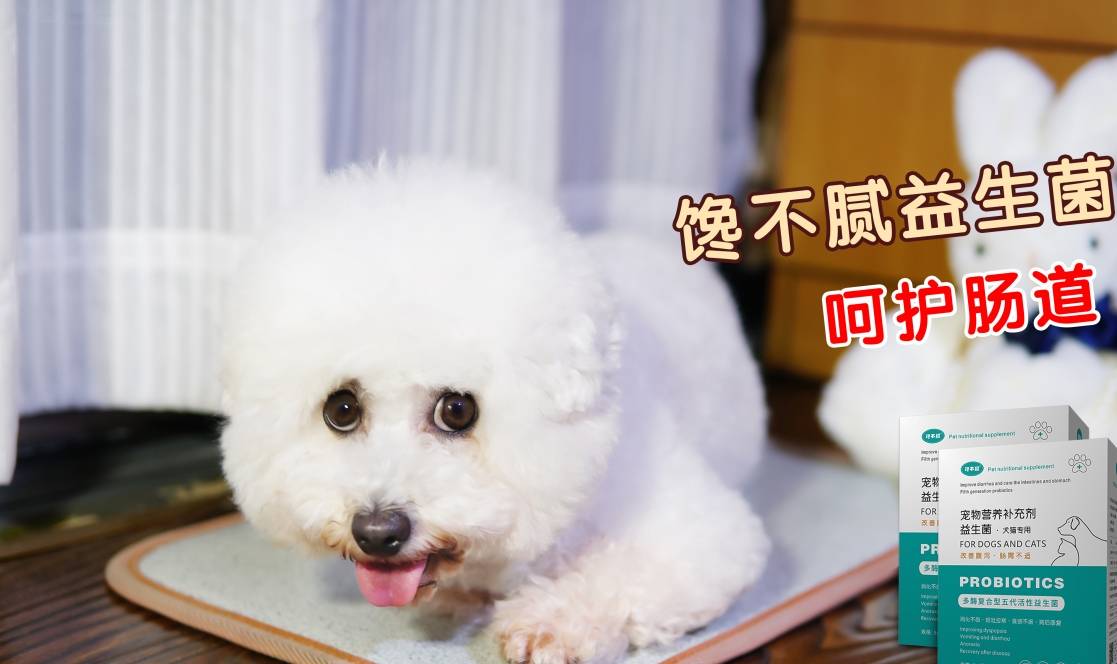 狗狗出现这些异常行为 是在向你求救 主人别大意了 情况 时候 肛门