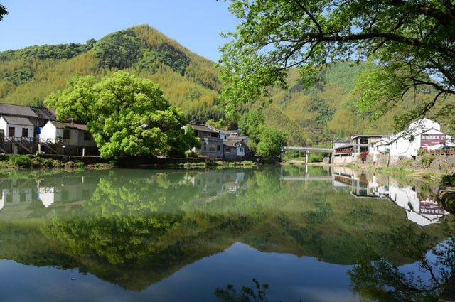 浙江这座古村被赞世外桃源，有山有水民风淳朴，当地人的解压胜地