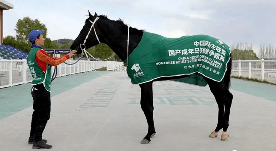 9場比賽122萬獎金中國馬主聯盟5月國產馬大賽盤點