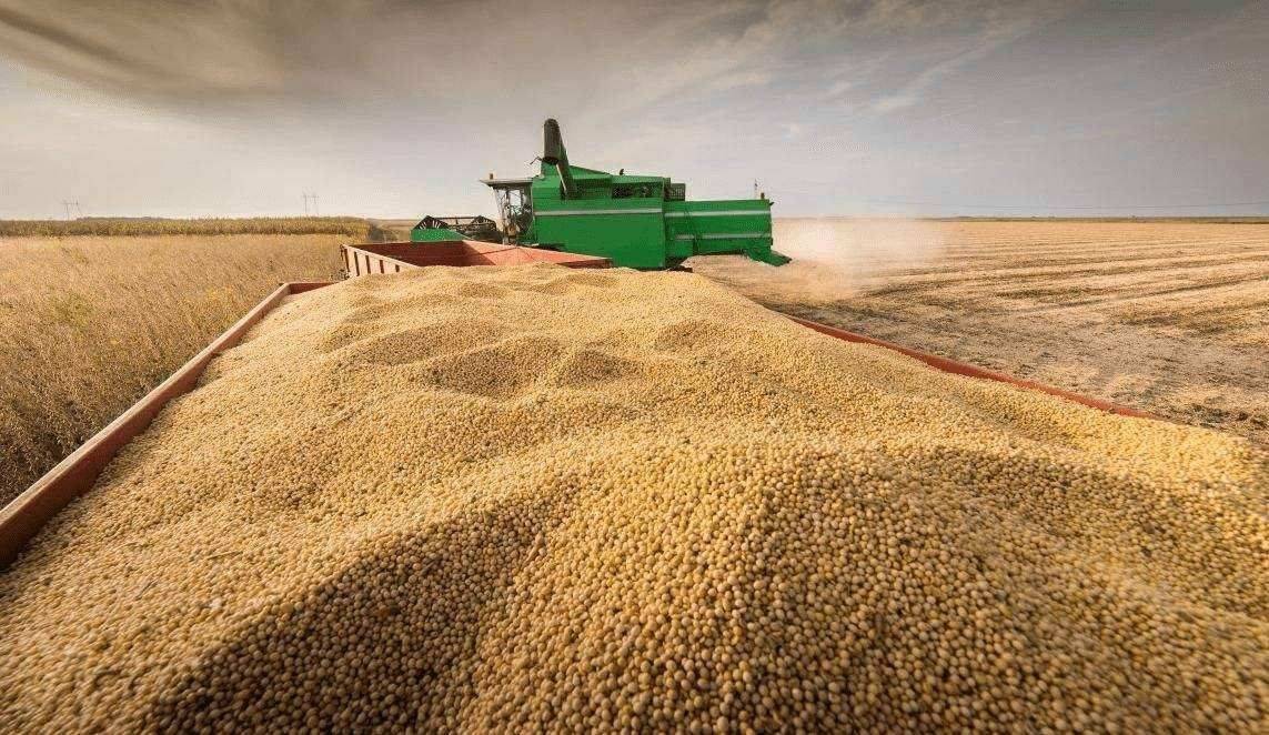 进口小麦胚芽粉品牌_俄罗斯小麦进口_进口小麦收割机价格