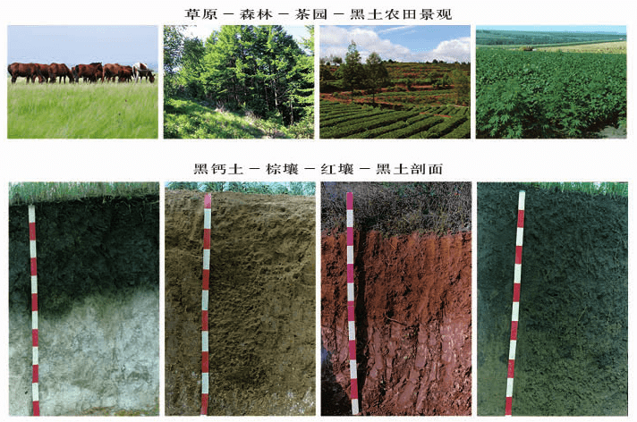 土壤教学经典用图30张!_成土_示意图_剖面