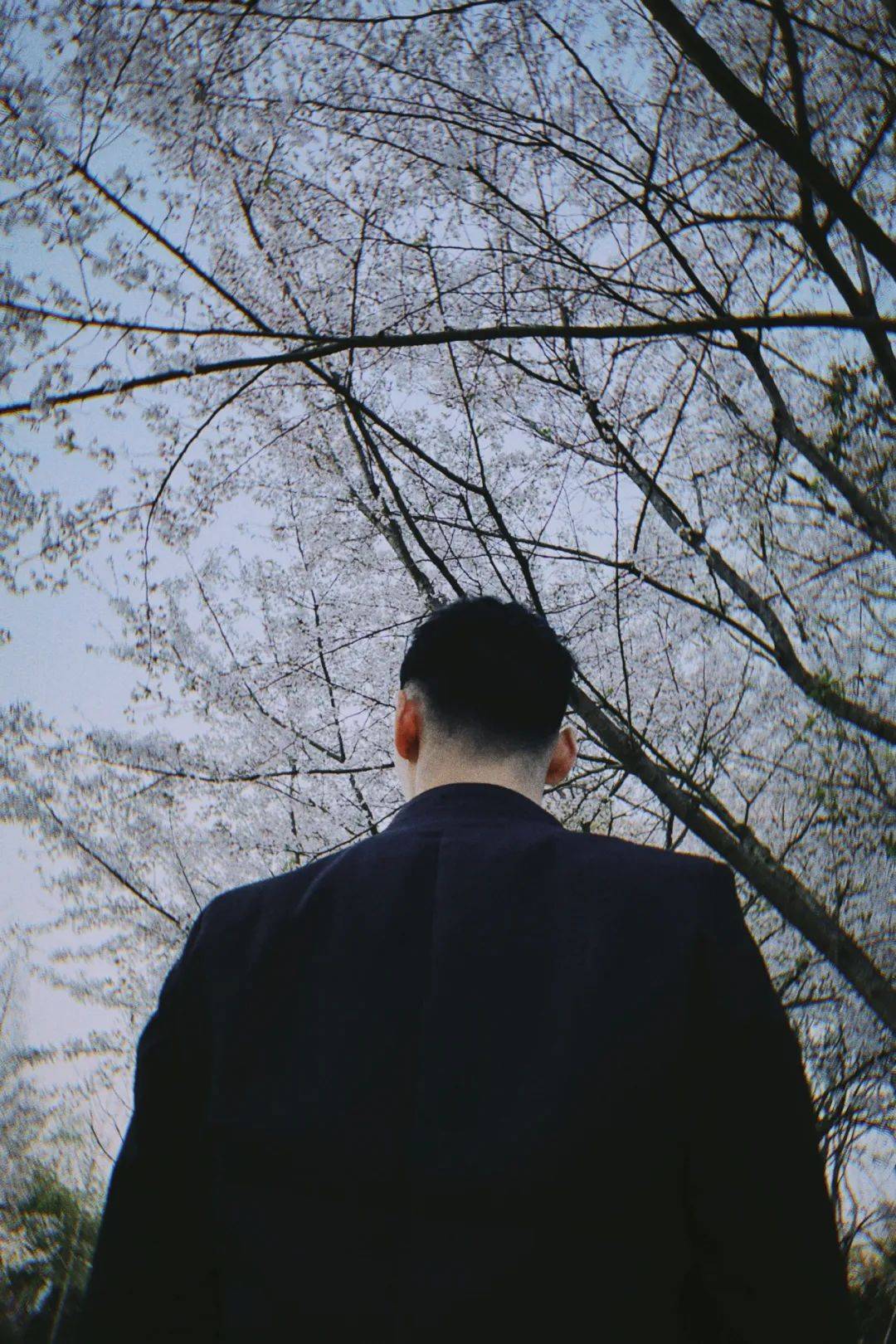 如果艾滋感染者没有按时吃药,后果是……_药物_治疗_时间