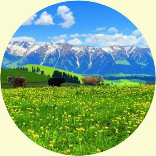 可长期使用的最适合做微信头像的图片最美风景