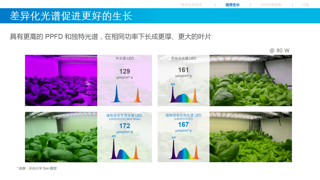 三星LED实现植物工厂种植生菜减排6%！_照明_光谱_节能