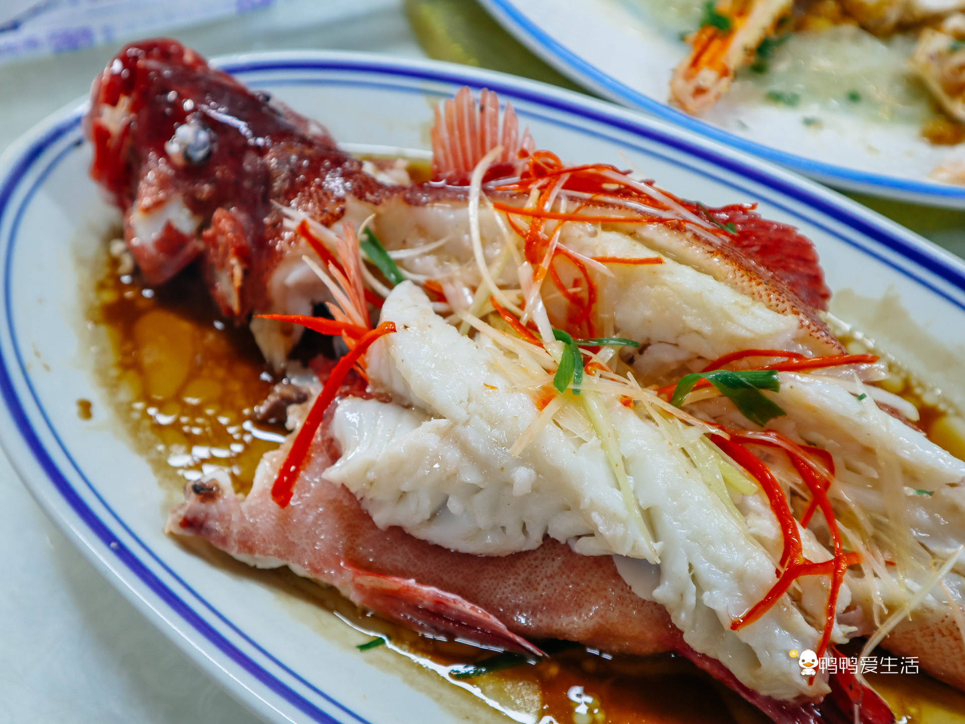 原创             厦门八市藏一中华老字号，始于1936年，海鲜加肉松味道更独特！