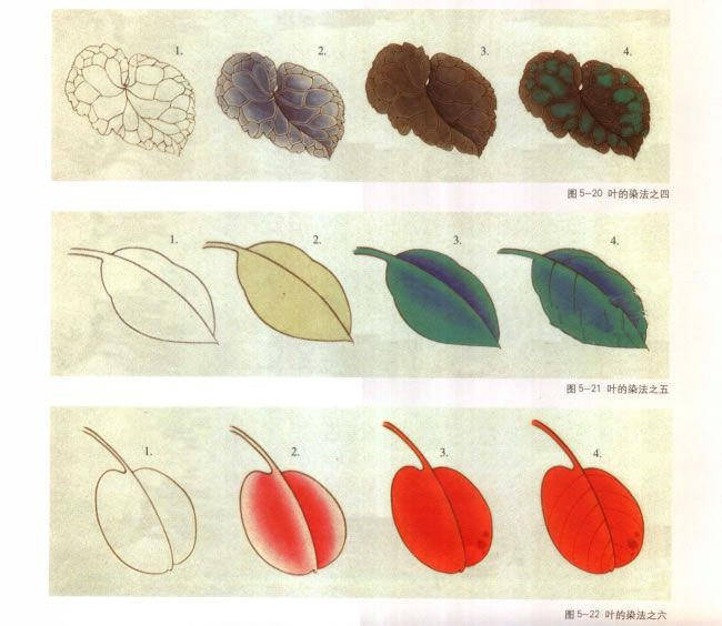 工笔花卉叶子的基本染法