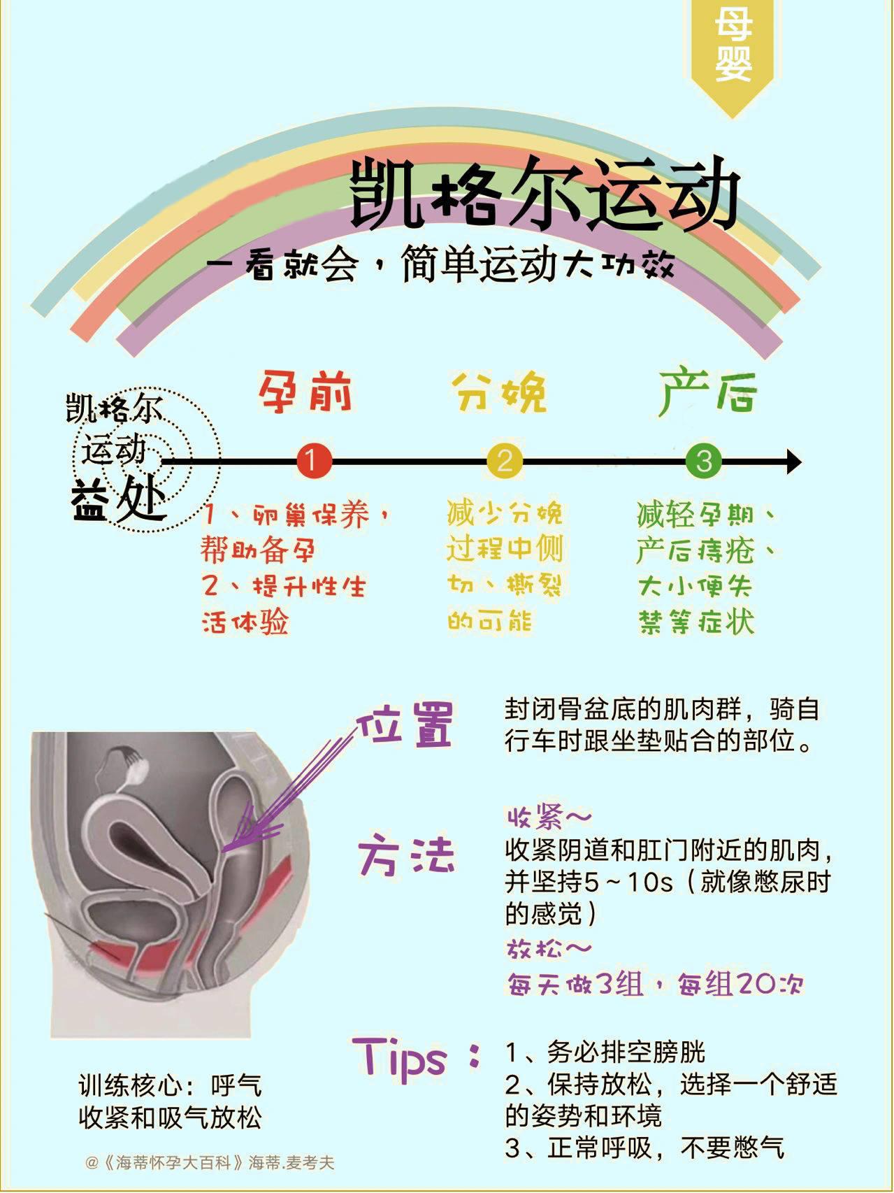 凱格爾運動每天堅持做有效訓練盆底肌