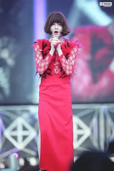 盘点韩国娱乐圈惊艳众人的男扮女装