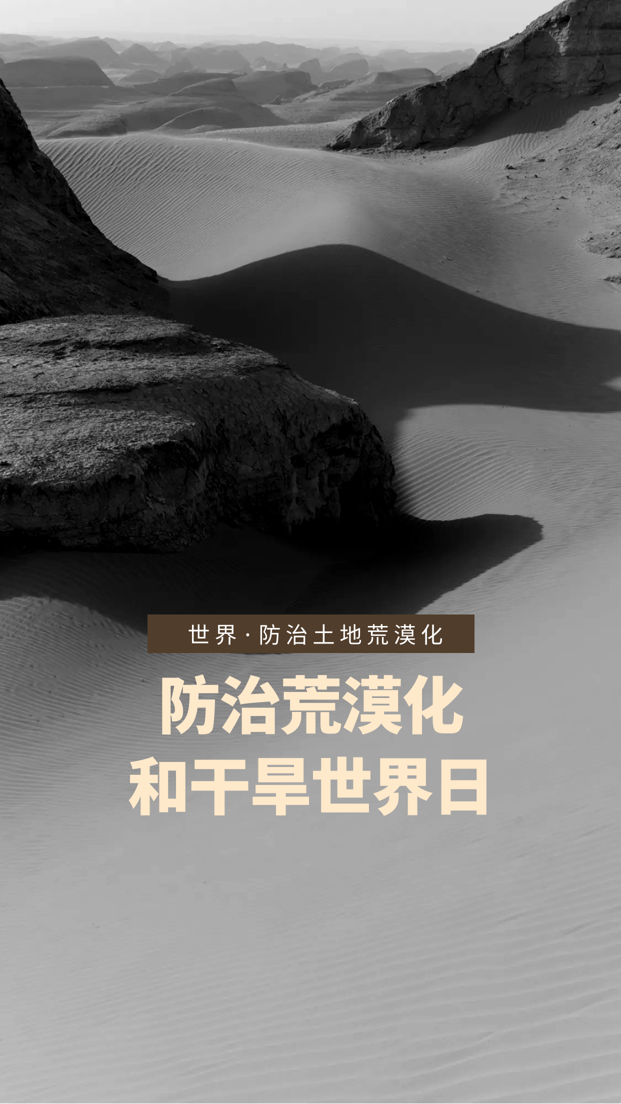 世界防治荒漠化和干旱日 插图,插画,图片与文案,祝地球美丽_土地_沙漠