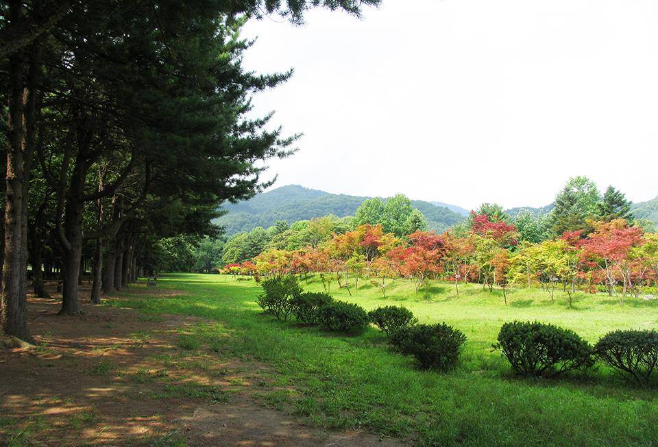 走进韩剧冬季恋歌的拍摄地南怡岛
