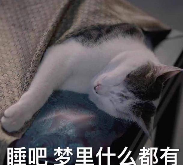 "瞅瞅这些表情包,确定靠的是颜艺?啧啧,反正我可不信.